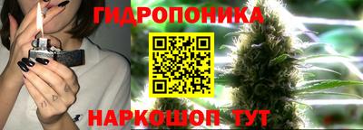 mdpv Обнинск