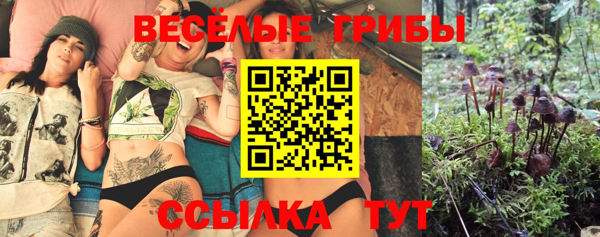 Псилоцибиновые грибы мухоморы Сорочинск