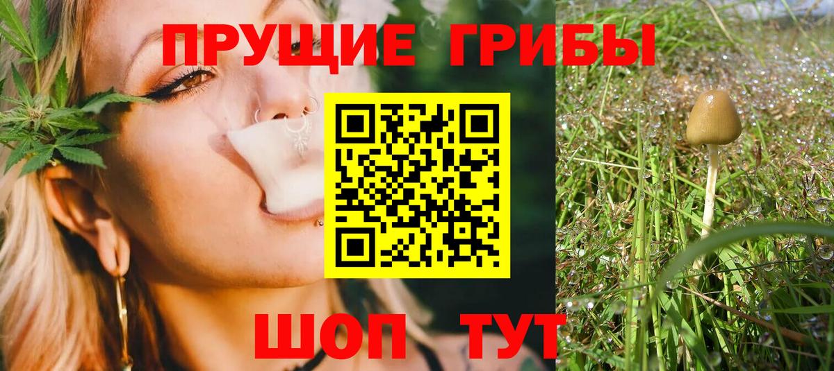 Галлюциногенные грибы Magic Shrooms  Вход с VPN  Сорочинск 